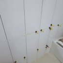 오동동101 이미지