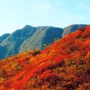 가을여행 이미지