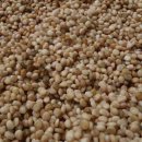 재섭농장 이미지