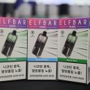 듀크 | 엘프바 듀크 대용량 디바이스 후기 / 멘솔 / 마이애미민트 / 미네랄 워터