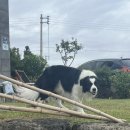 미깡밭스테이삼삼은구 이미지