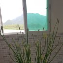 송원민박 이미지