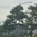 조흥운수 노동조합 이미지