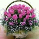 하오개로351번길 이미지