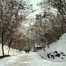 부소산성 삼충사 입구 이미지