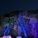 첫날밤 | 2026년 홍제천 벚꽃축제 첫날밤 방문후기