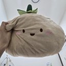 언제나슈가링왁싱 부평점 부평슈가링왁싱 브라질리언왁싱 솔직 후기