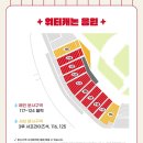 k타이거즈 | 25년 기아타이거즈 핫썸머페스티벌 후기 - 챔필 124구역 시야, 분사구역 후기, 플라스틱 응원봉 호통이