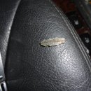 하단동011 이미지