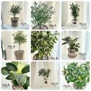 로즈미꽃작업실 이미지