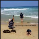 주문진 이미지