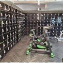 레몬핏 휘트니스 이미지