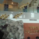 어름치마을 이미지