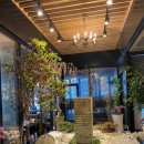 자작나무집 이미지