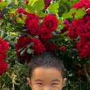 박용한의원 이미지