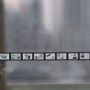 워크스 | 골든포니워크스 엔젤캣비니 +(블루미, 나이트플라워)