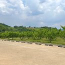 금암리공중화장실 이미지