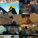 사랑스럽개 이미지