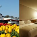 러브 스테이 이미지