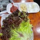 청석초등학교 사거리 학교쪽 | [답십리사거리맛집] 전통춘천닭갈비 답십리사거리점 (내돈내산)