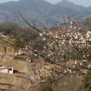 매화2공원 이미지