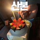 디퍼아울렛타운 | 콩만한 커피 딸기초코케이크 예약 내돈내산