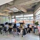 황금알부동산중개 이미지