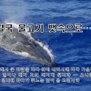 4월 21일(목), 하나님을 피해 물고기 뱃속으로!(요나 1:1-17) 이미지