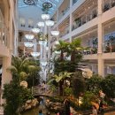 츄카롱&츄로아상(수원점) | 수원 용인 드라이브 대형카페 포레스트아웃팅스 용인점 주말 솔직후기 및 사진 스팟 추천