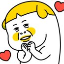 산호애견 이미지