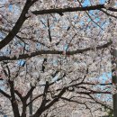 길벗민박 이미지