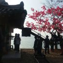 진도펜션 소해정 이미지