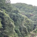 해피누리고펜션 이미지