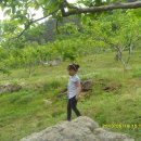 기일농장 이미지