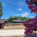삼호정 이미지