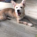 수원-0613 이미지