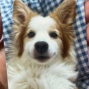 더함축산 이미지