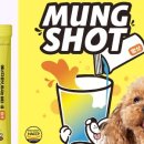 좋은강아지 이미지