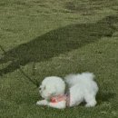 라이또PC방 고양본점 | 연휴가 어케 끝났도라…
