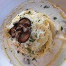 이태리집 | 태백 파스타 추천 이태리집 맛집방문 솔직후기