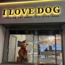 이마트24 포항이동점 | 포항강아지분양/포항퍼피분양/아이러브독 포항점 강아지 분양 후기