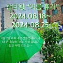 판타윙핸디크래프트 네이버블로그