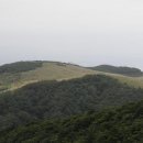 써브웨이경주