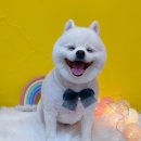 상일축산 이미지