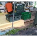 재은농장 이미지