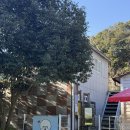 별아래 펜션 | 내돈내산 부산근교 가성비 애견동반펜션추천 - 별아래펜션 노란별방 솔직 후기