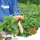 아이마미한의원 네이버블로그