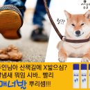 김정남사무소 이미지