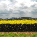 “다시 한번, 여행을 가겠습니다” 이미지