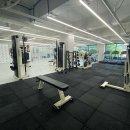 미니원핏 이미지